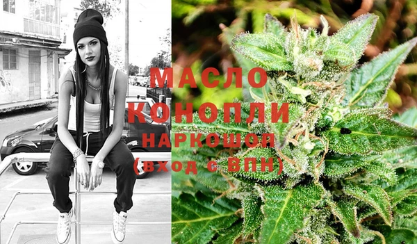 молекула духа Михайлов