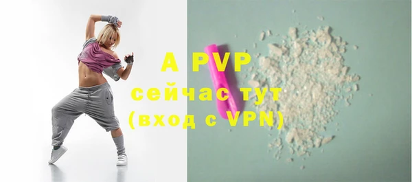 молекула духа Михайлов