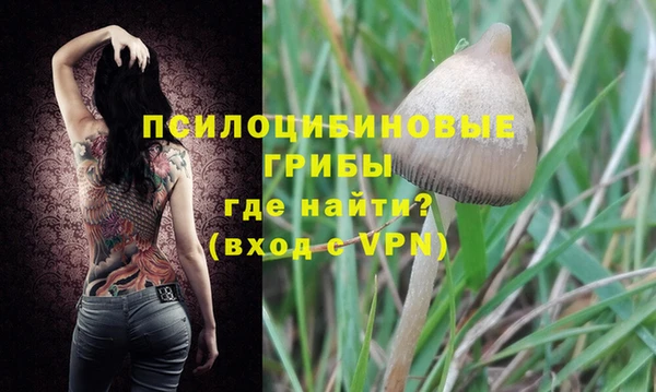 крисы Михайловка