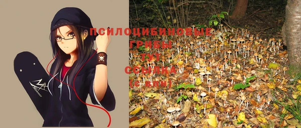 молекула духа Михайлов
