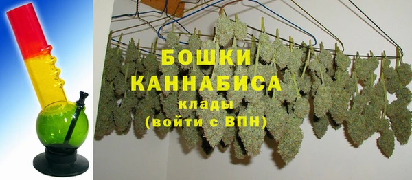 молекула духа Михайлов