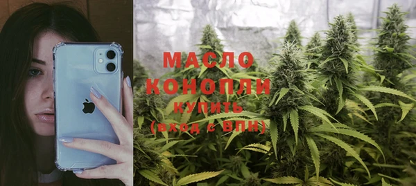 молекула духа Михайлов