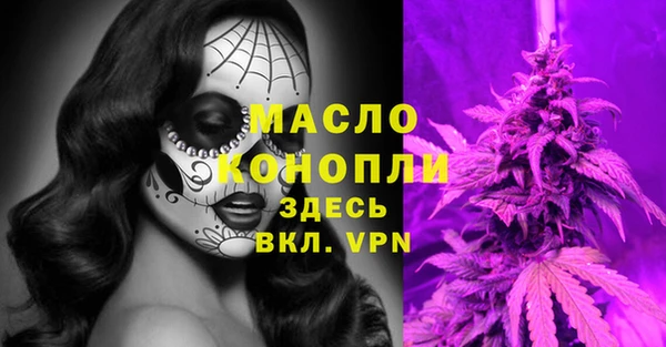 молекула духа Михайлов