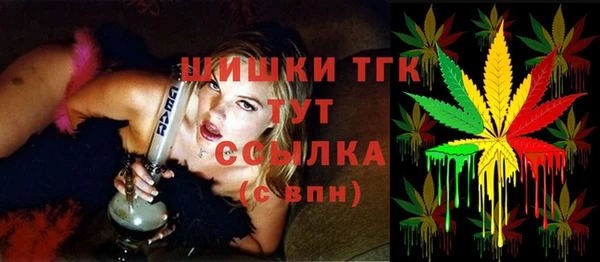 молекула духа Михайлов